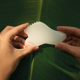 GUA SHA WHITE JADE